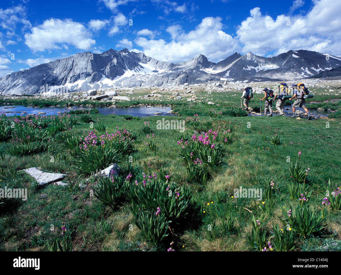 Un groupe de randonneurs au sud le long de la tête de John Muir Trail, la Sierra Nevada CA Banque D'Images