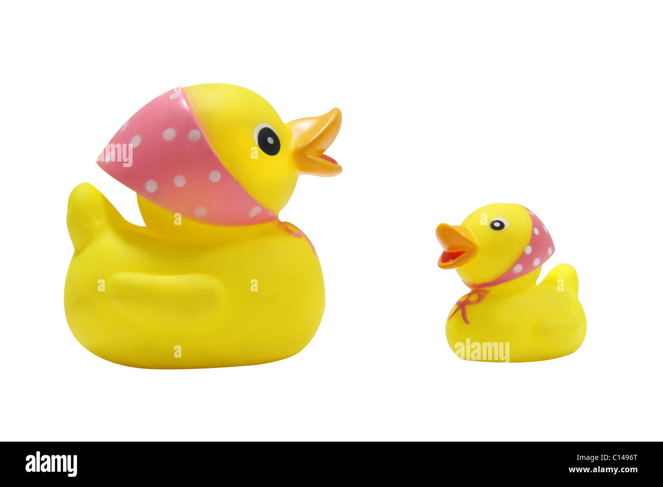 Canard et petit canard Banque D'Images