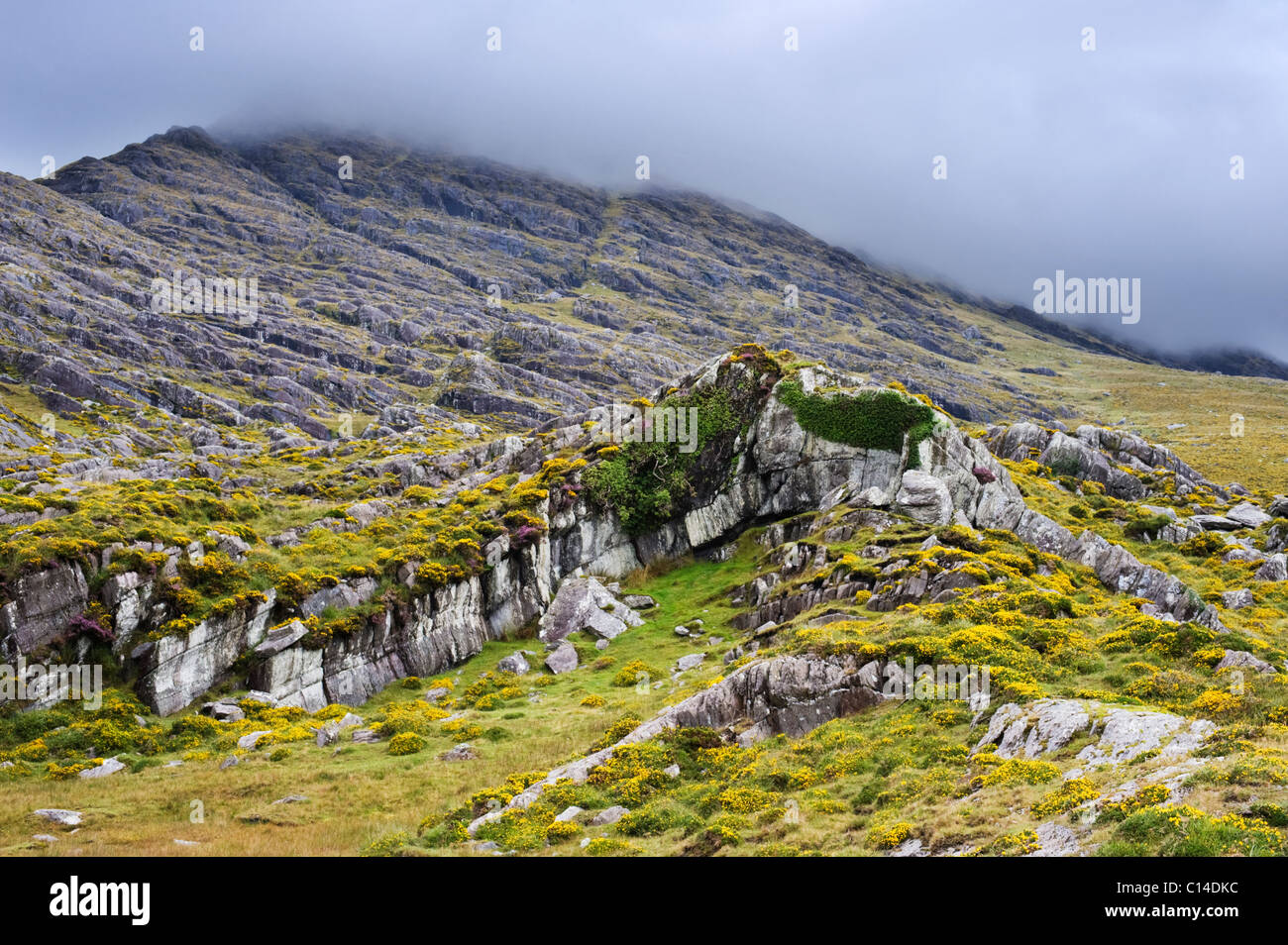 Des rochers de grès dévoniens pliée sur mist-couverts Hungry Hill, Péninsule de Beara, comté de Cork, Irlande Banque D'Images