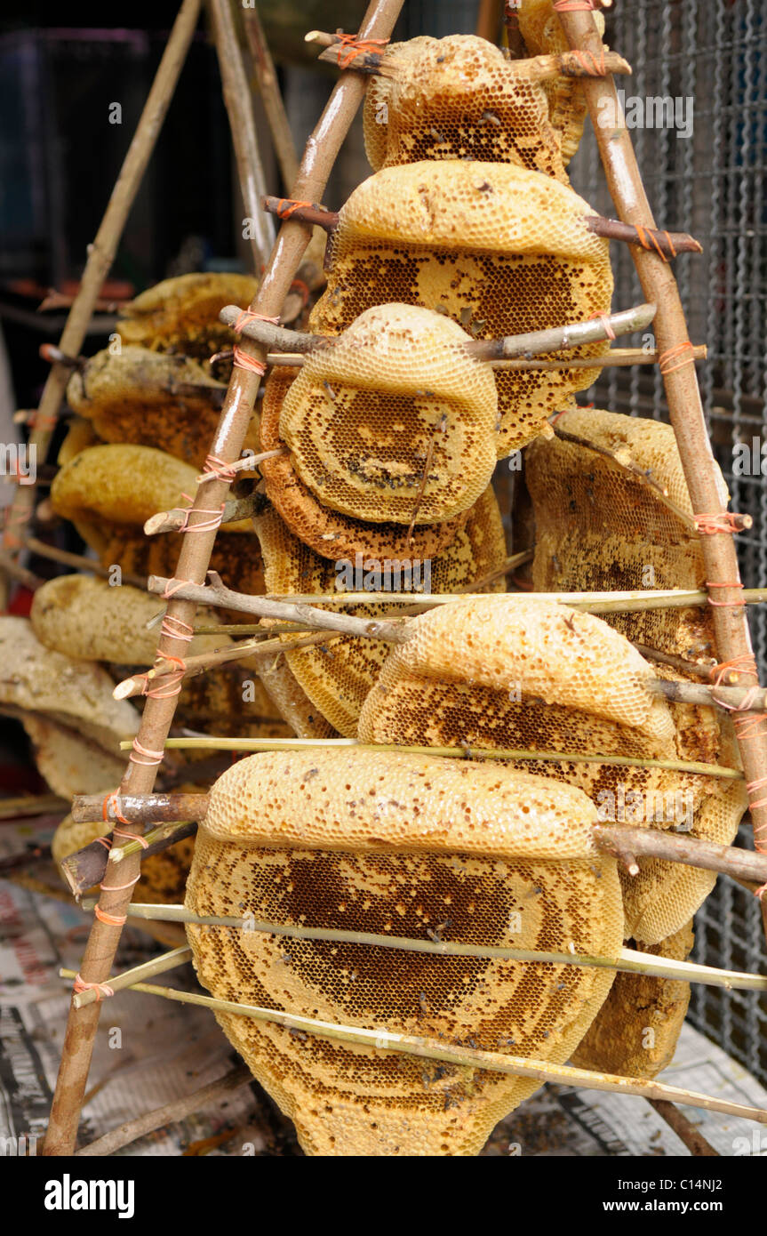 D'abeilles en vente à Chatuchak Weekend Market , bangkok , Thaïlande Banque D'Images