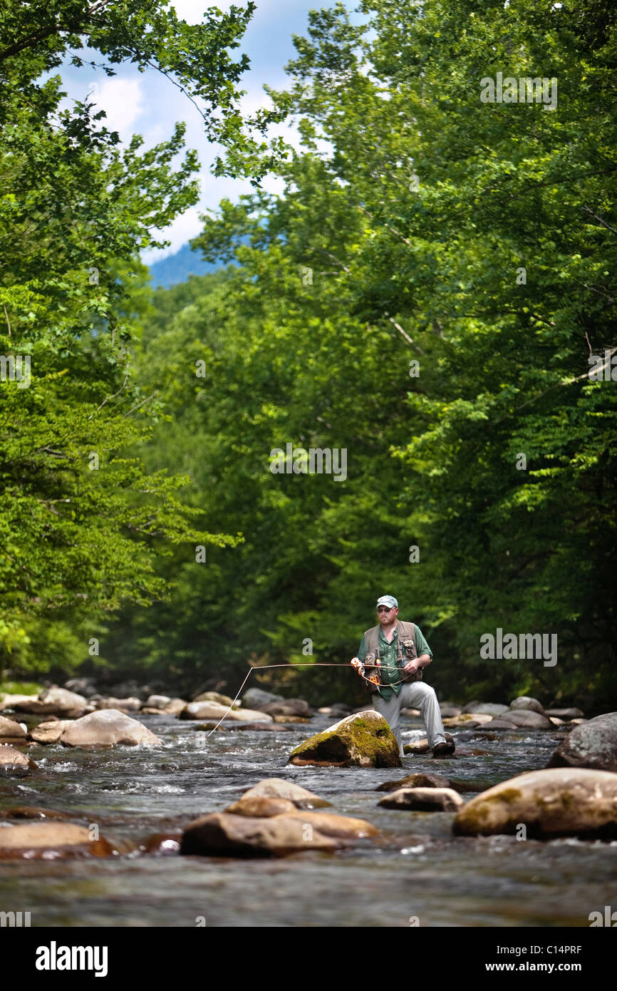 Un pêcheur de mouche regarde la dérive mouche parmi les gros rochers dans le Greenbrier River, Smoky Mountain National Park. Banque D'Images