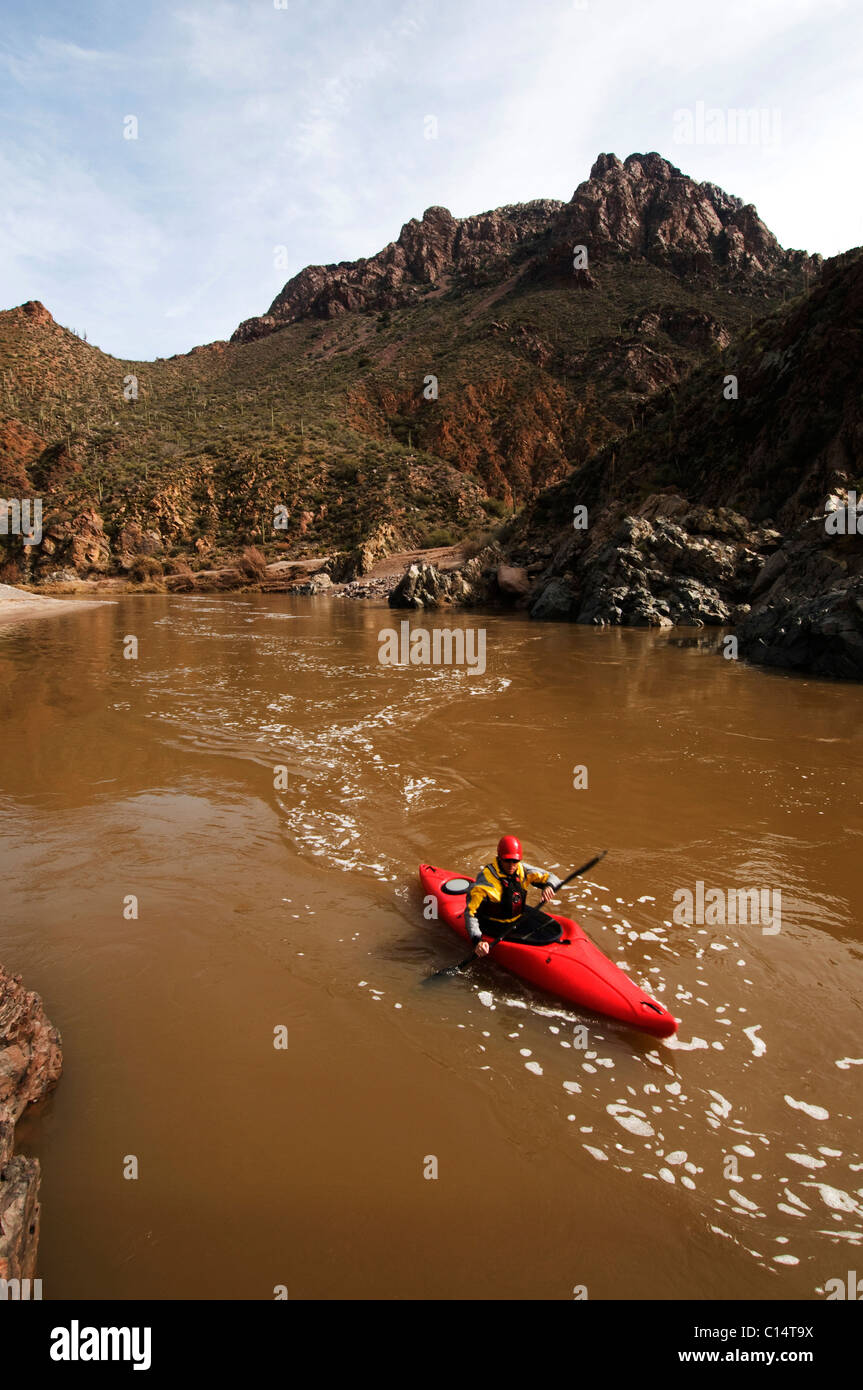 Les kayakistes d'eaux vives pagaie en aval pendant une excursion sur la rivière Salt, AZ. Banque D'Images