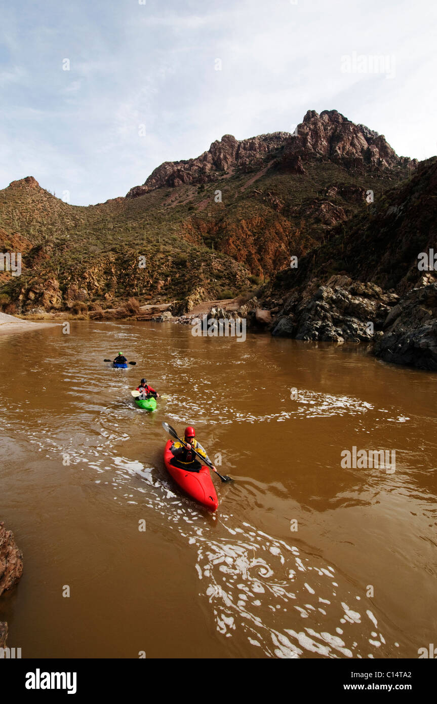 Les kayakistes d'eaux vives pagaie en aval pendant une excursion sur la rivière Salt, AZ. Banque D'Images