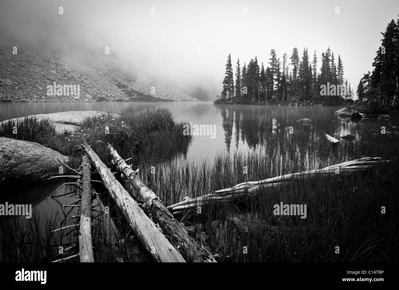 Sciage menant au lac dans le brouillard. Westcliffe, Colorado, United States. Banque D'Images