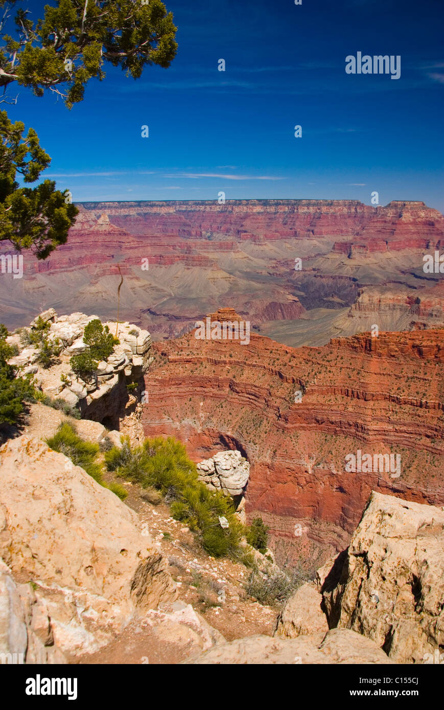 Vue sur le Grand Canyon Banque D'Images