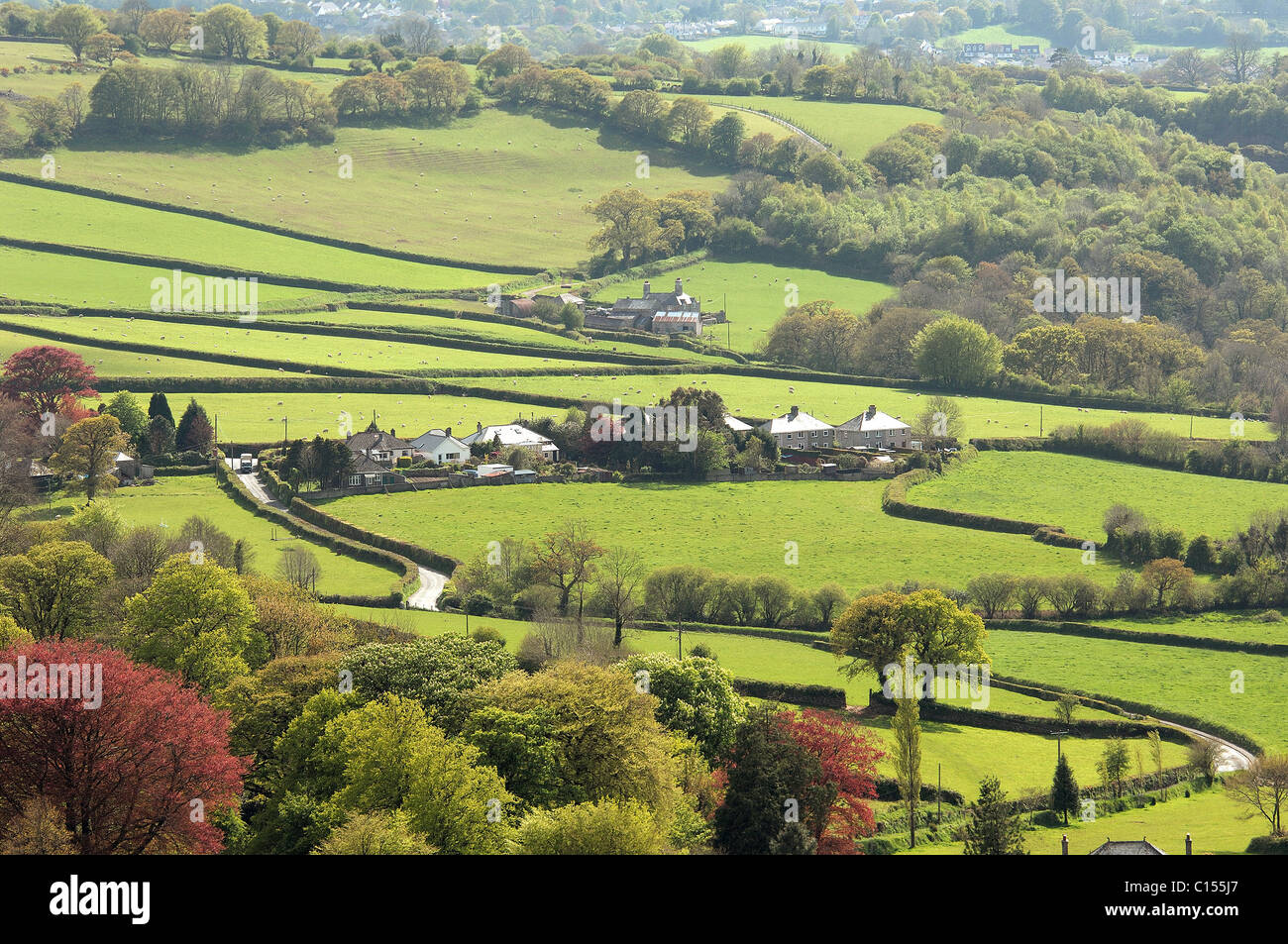 Surplombant le village de Peter Tavy Banque D'Images