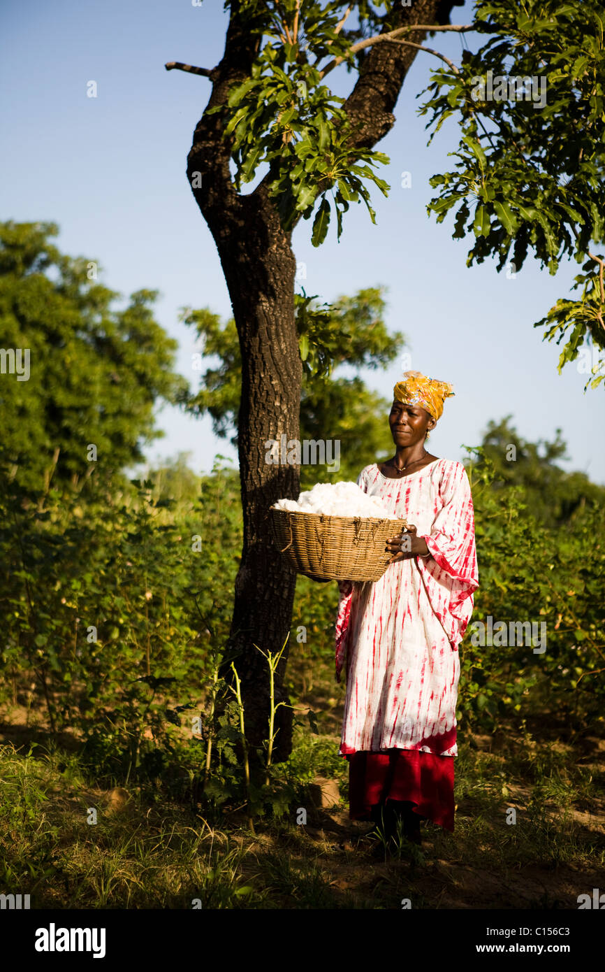 Agriculteur de coton équitable au Mali Banque D'Images