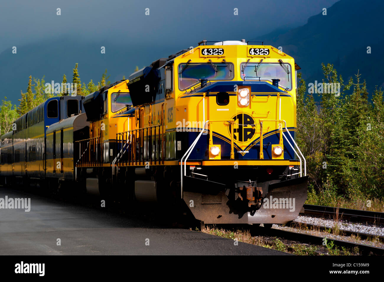 « Train de Denali » Banque D'Images