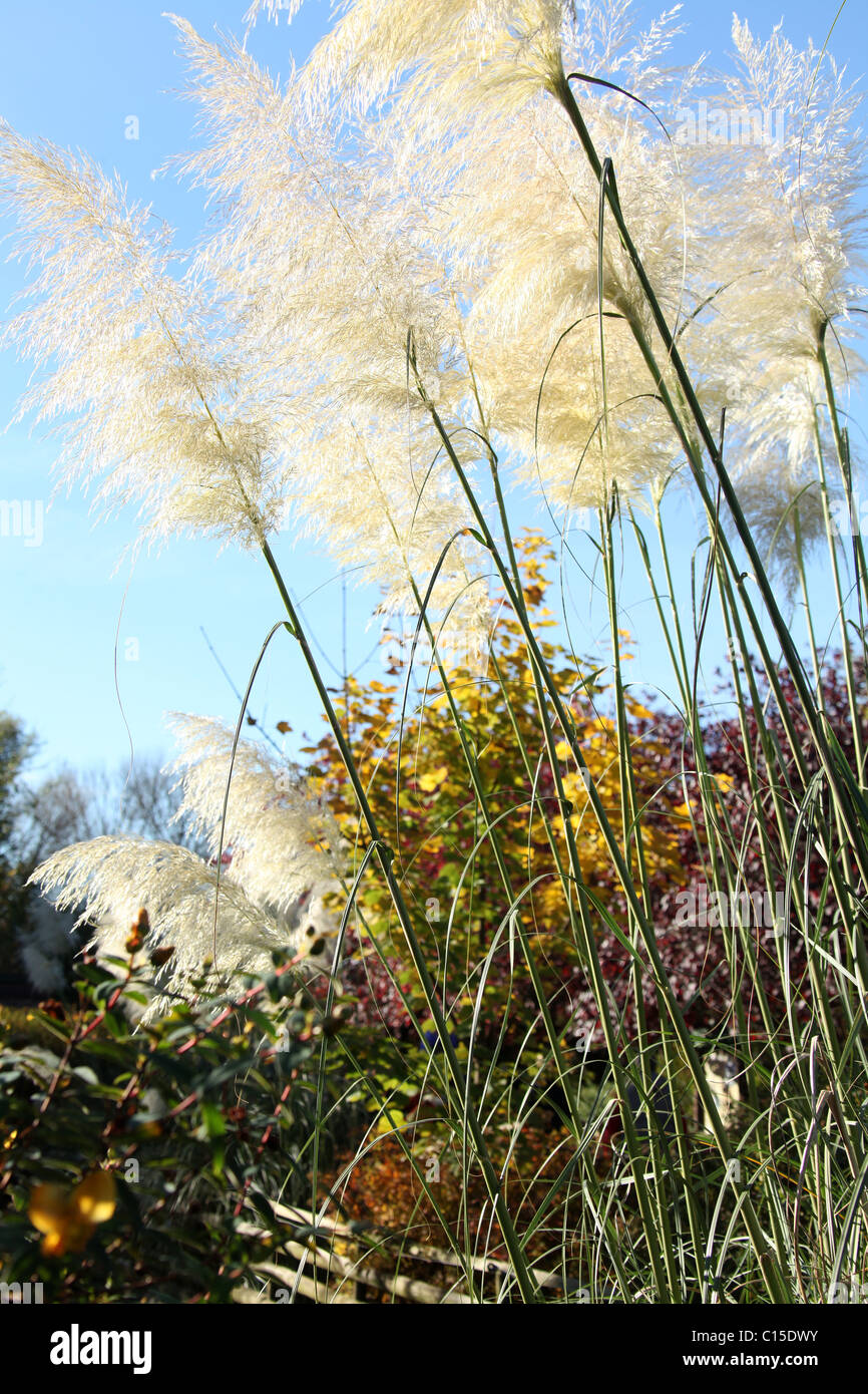 Chester Zoological Gardens. Vue d'automne de le Zoo de Chester. Banque D'Images