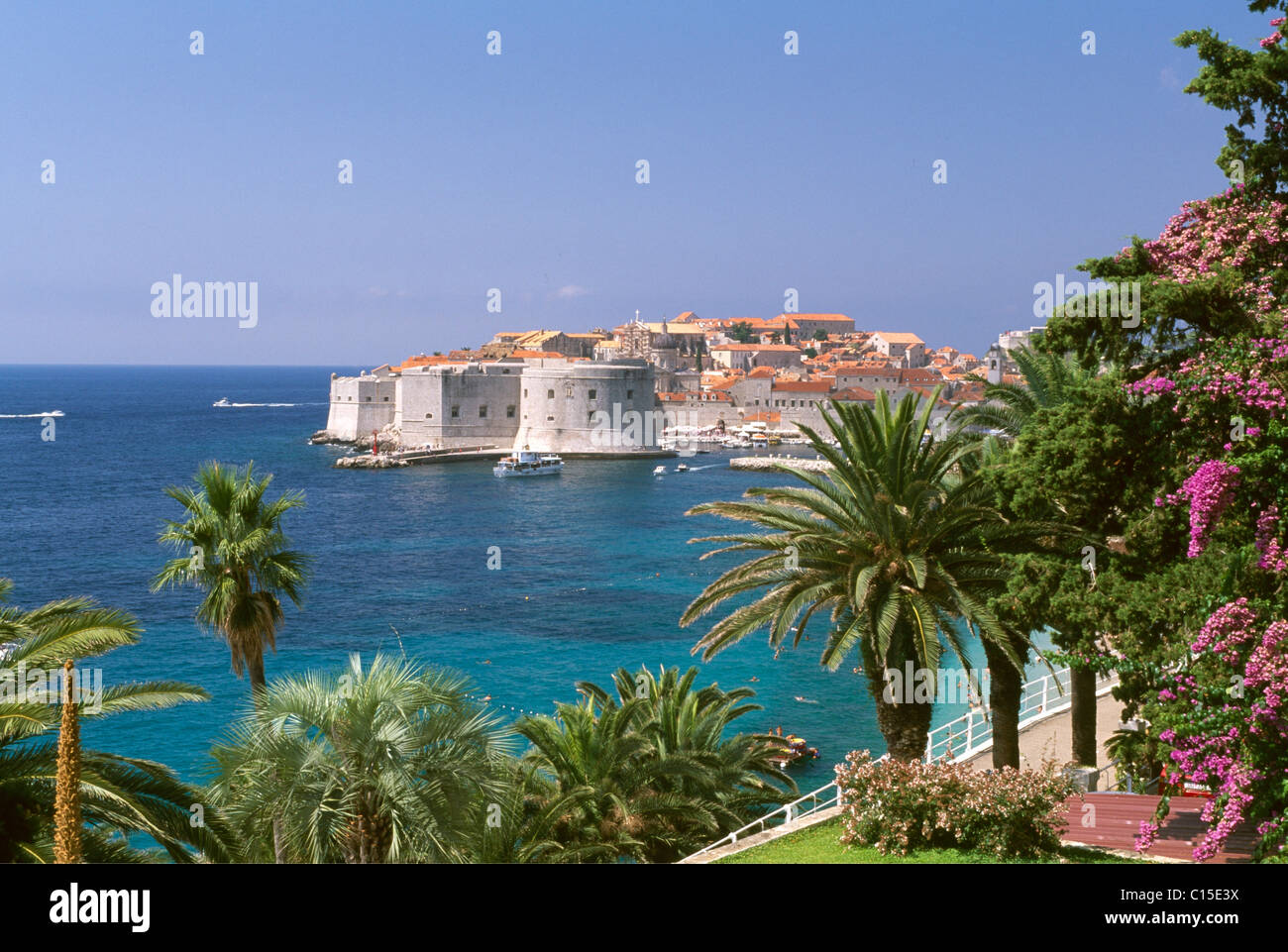 Dubrovnik, Dalmatie, côte dalmate, en Croatie Banque D'Images