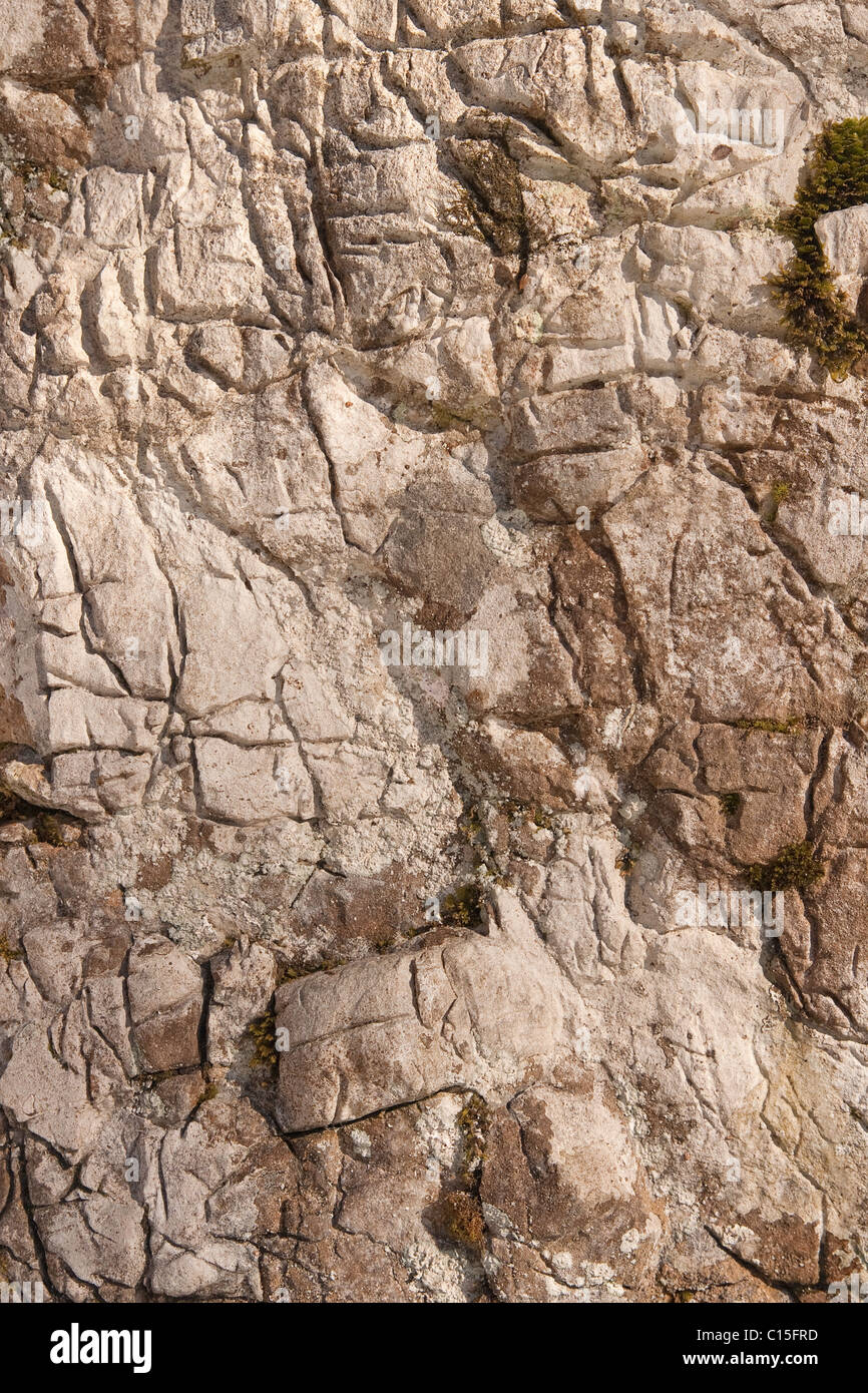 Arrière-plan de pierre brute avec surface texturée Banque D'Images