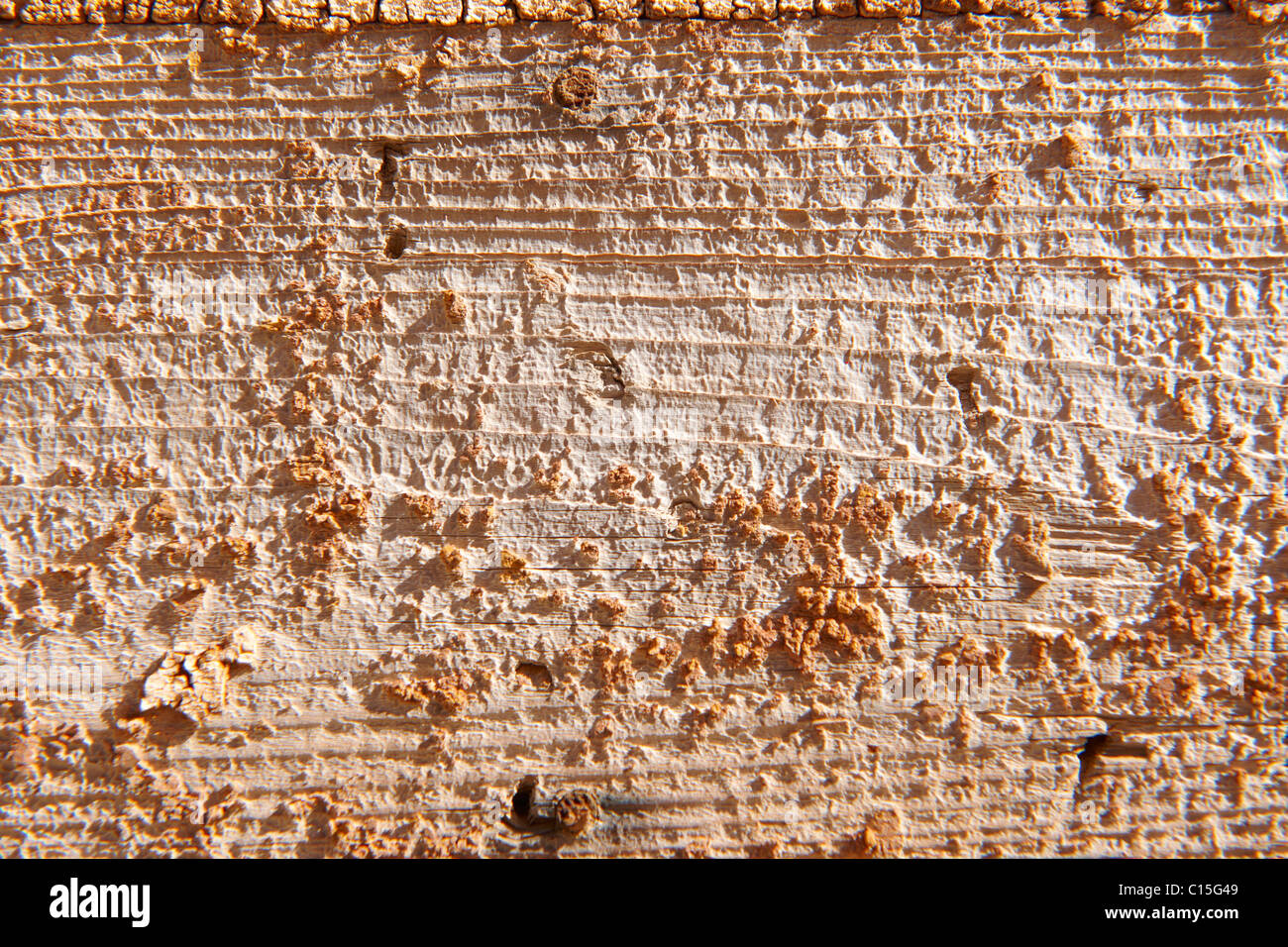 L'écaillage de la peinture orange fond close up Banque D'Images