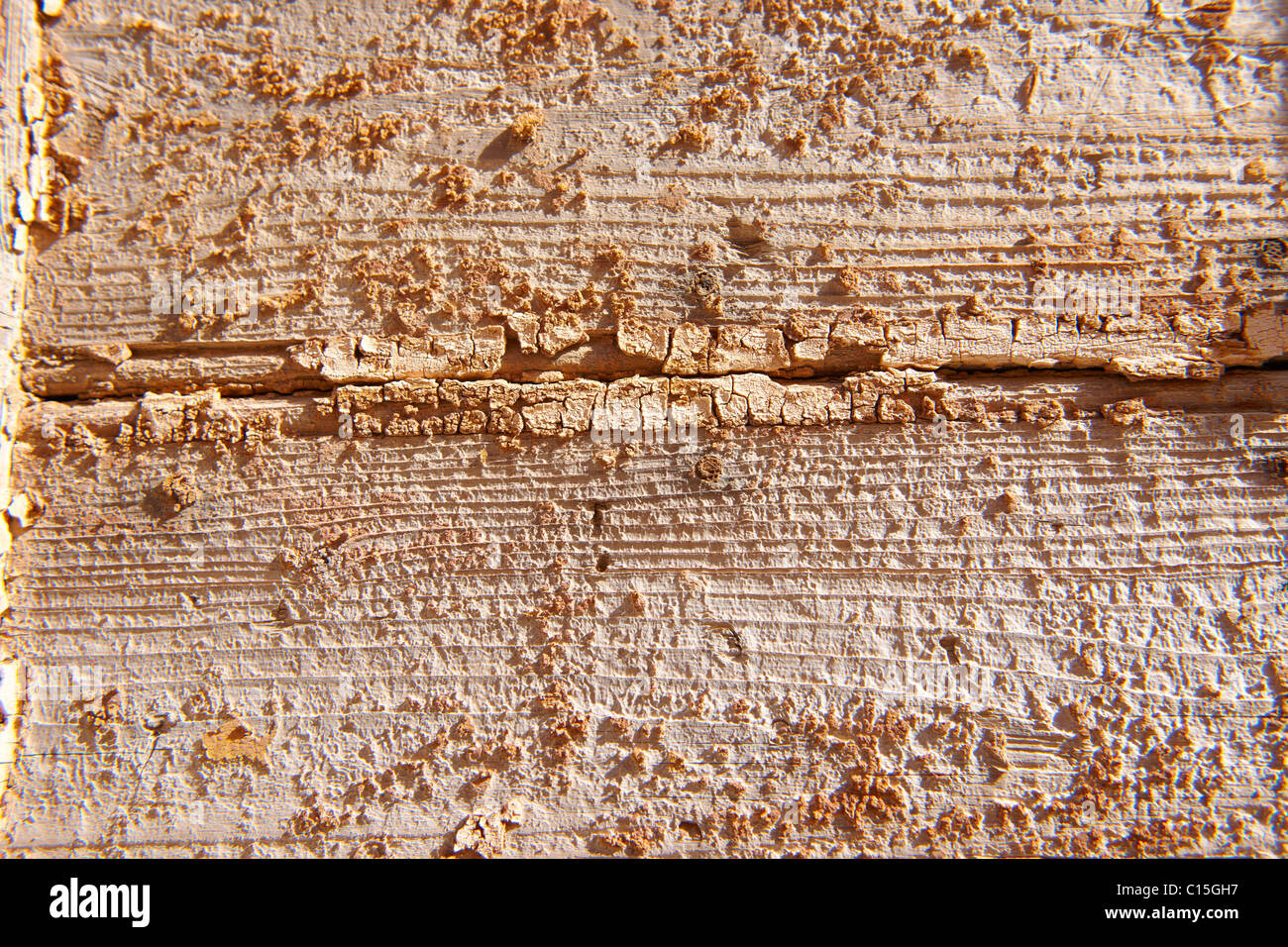 L'écaillage de la peinture orange fond close up Banque D'Images