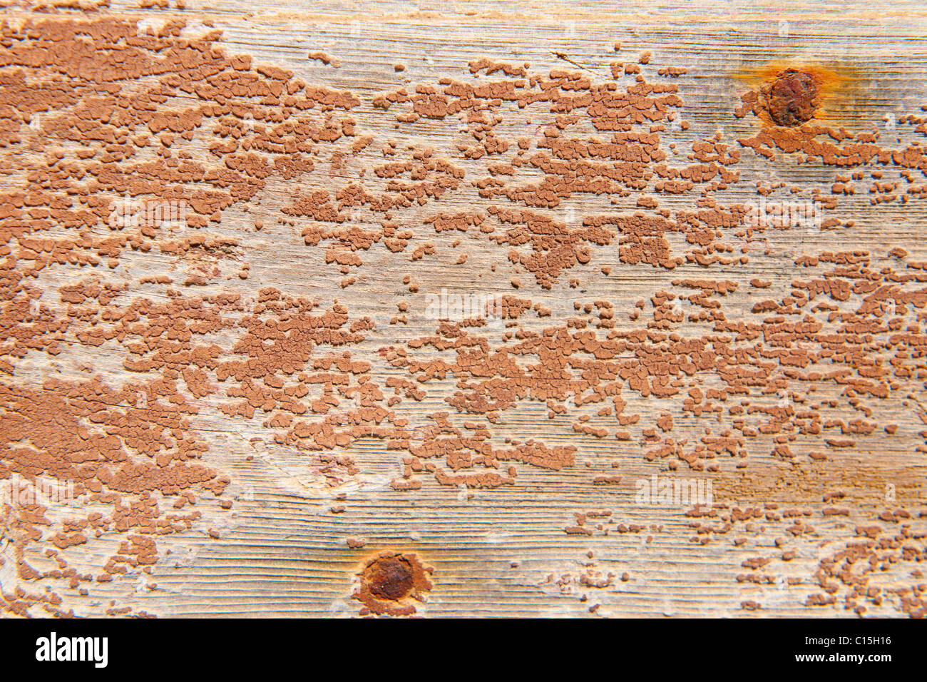L'écaillage de la peinture orange fond close up Banque D'Images
