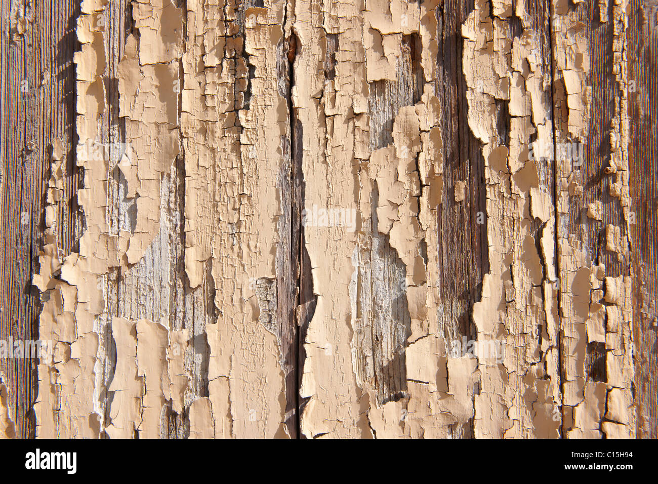 L'écaillage de la peinture crème fond close up Banque D'Images