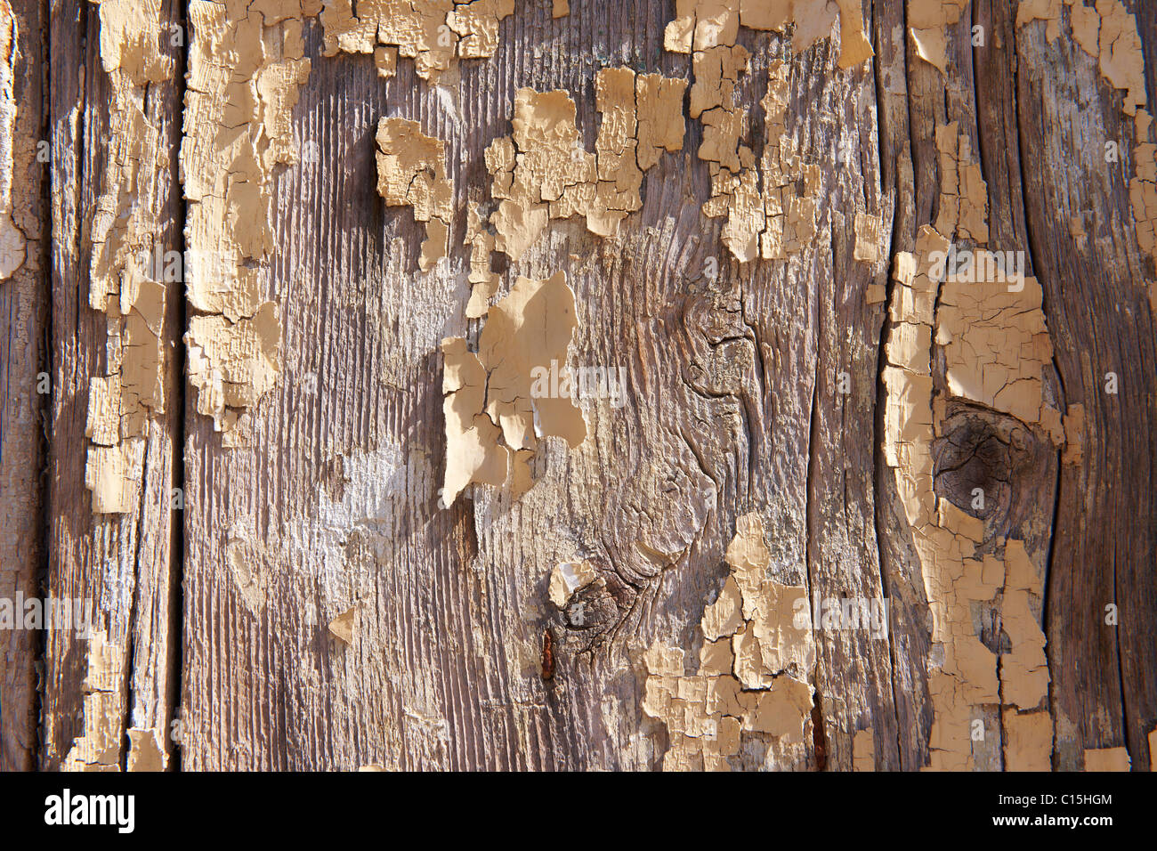 L'écaillage de la peinture crème fond close up Banque D'Images