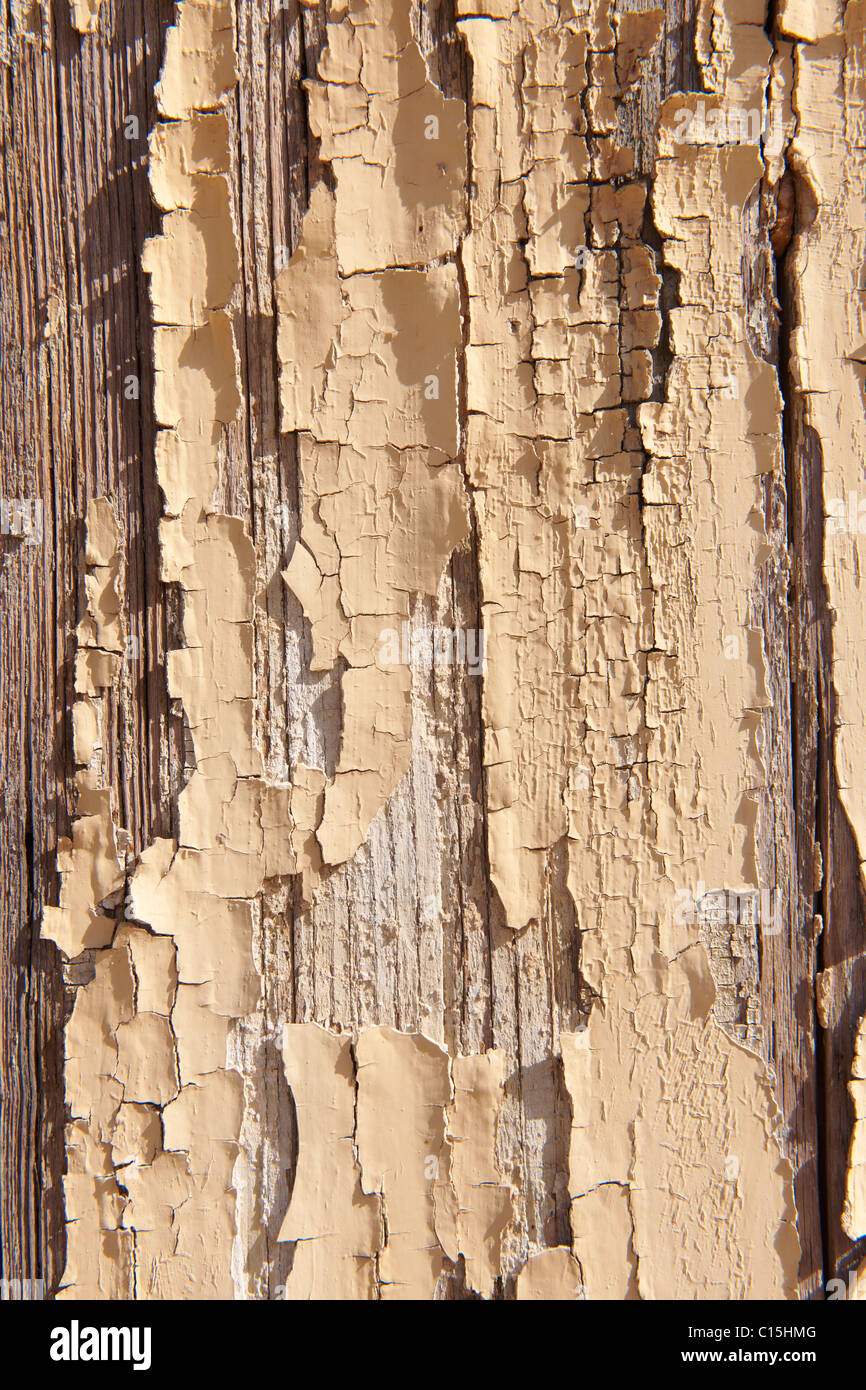 L'écaillage de la peinture crème fond close up Banque D'Images