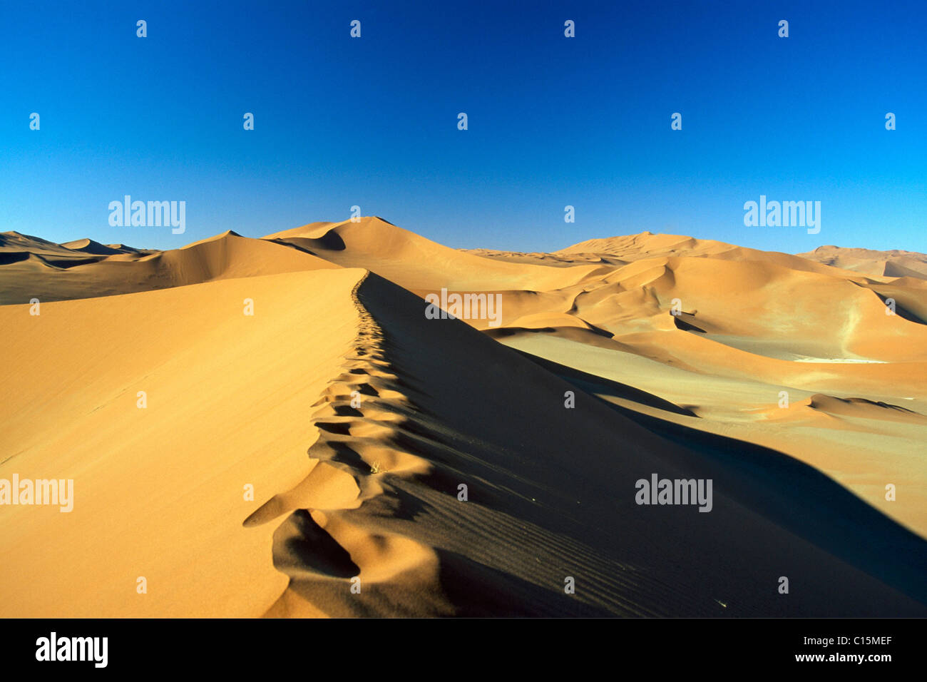 Paysage de dunes, Sossusvlei, Namib-Naukluft National Park, Désert du Namib, Namibie, Afrique Banque D'Images