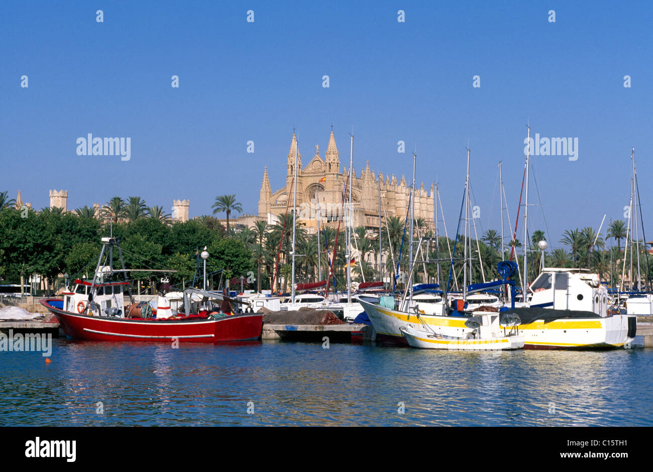 Yachts dans le port, en face de la cathédrale, Palma de Majorque, Iles Baléares, Espagne, Europe Banque D'Images