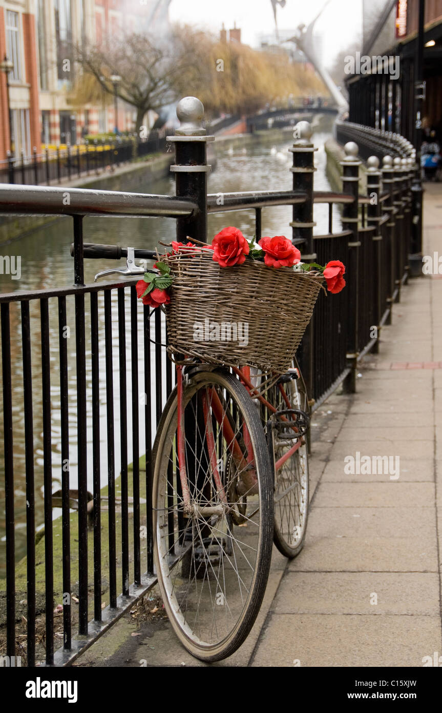 Roses rouges dans une location basketon Lincoln le côté canal Banque D'Images