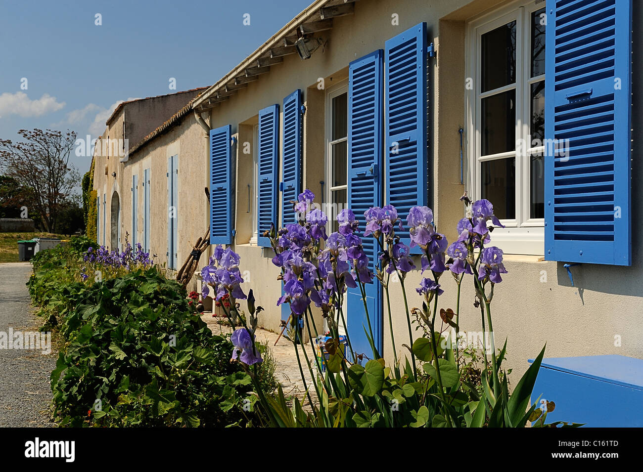 Les volets bleus sur les maisons, l'île d'Aix, l'île de France, département Charente Maritime Banque D'Images