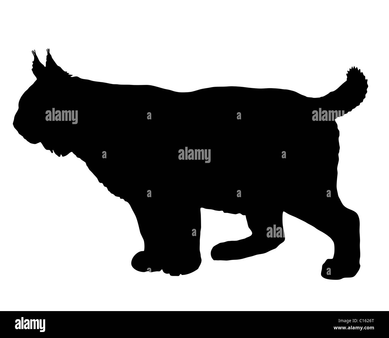 Silhouette de Lynx Banque D'Images