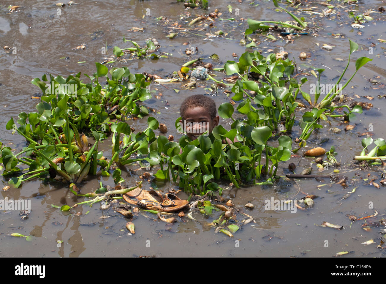 Garçon malgache aider recueillir introduite et envahissante jacinthe d'eau (Eichhornia crasspipes). Madagascar. Banque D'Images