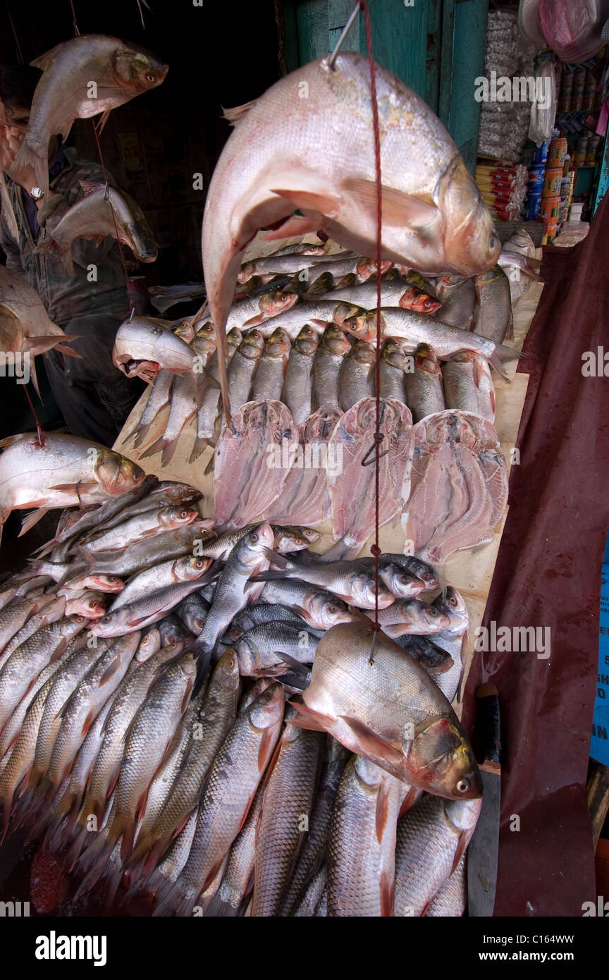 Marché de poissons à Kaboul en Afghanistan Banque D'Images