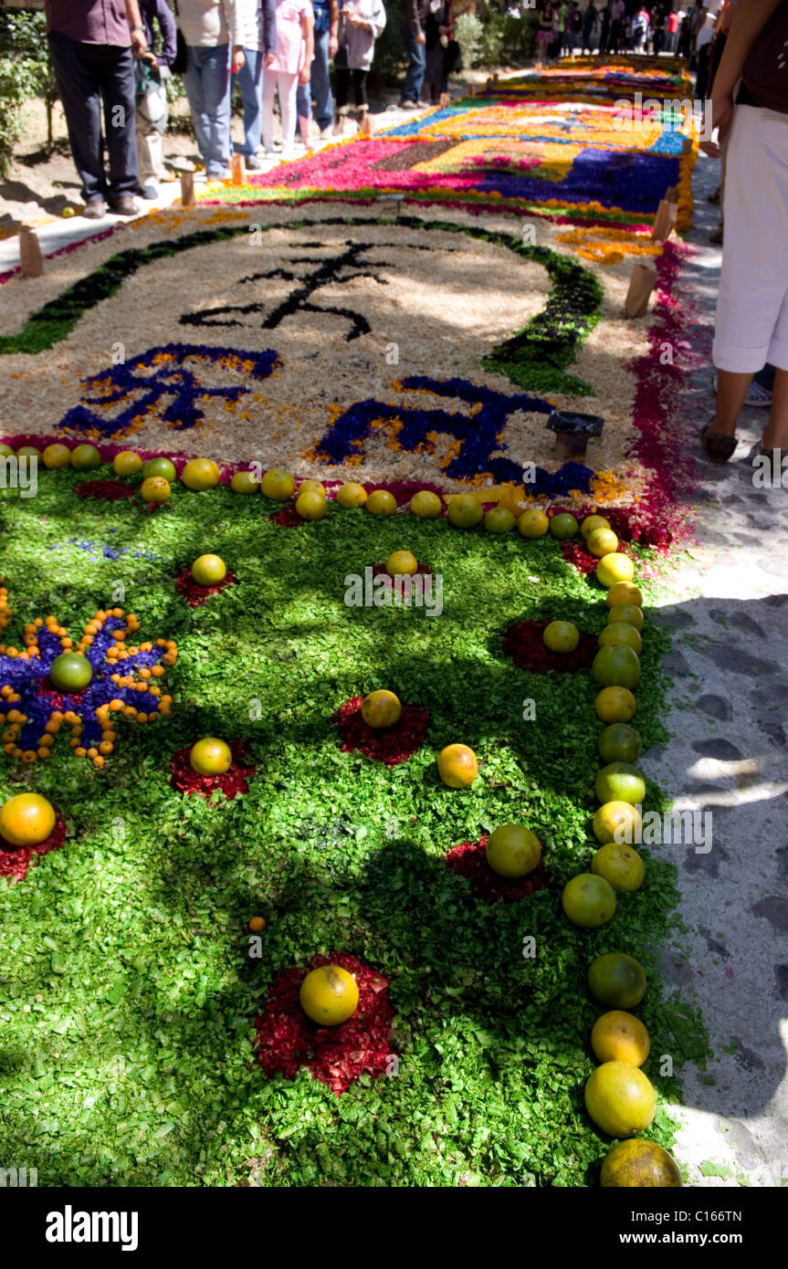 Le Jour des morts (tapis tapis de couleur à base de sciure) teints en Tepotzotlan, Mexique Banque D'Images