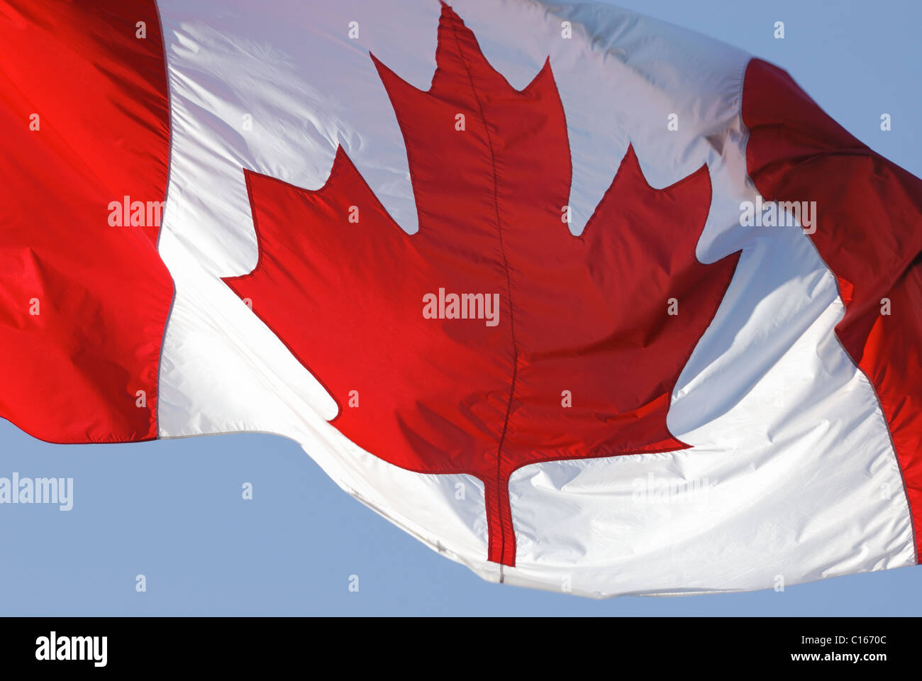 Close-up du drapeau canadien flottant dans le vent. Banque D'Images