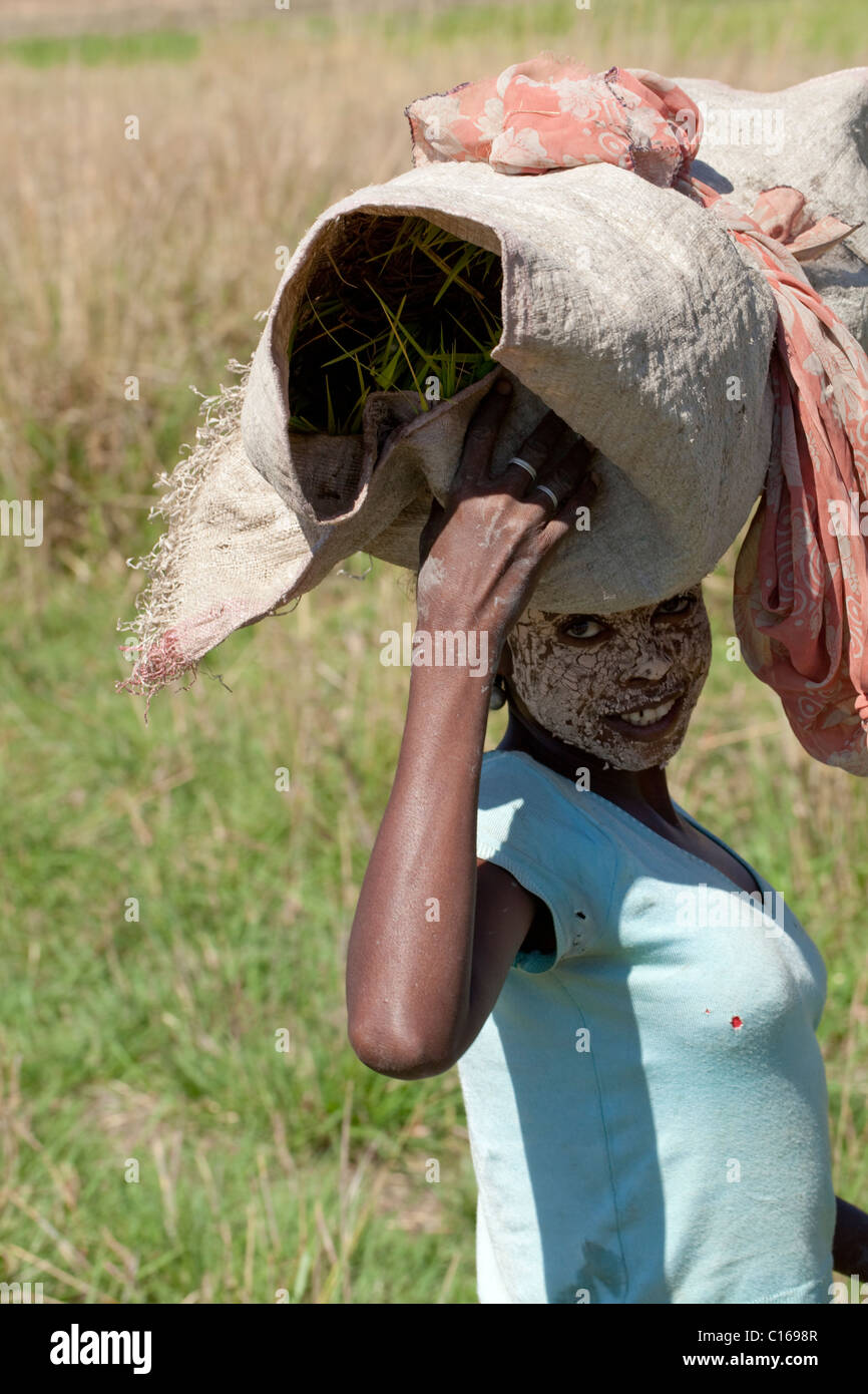 Fille transportant les aliments pour bétail sur sa tête. Son visage est enduit de boue pour protéger sa peau du soleil. Banque D'Images