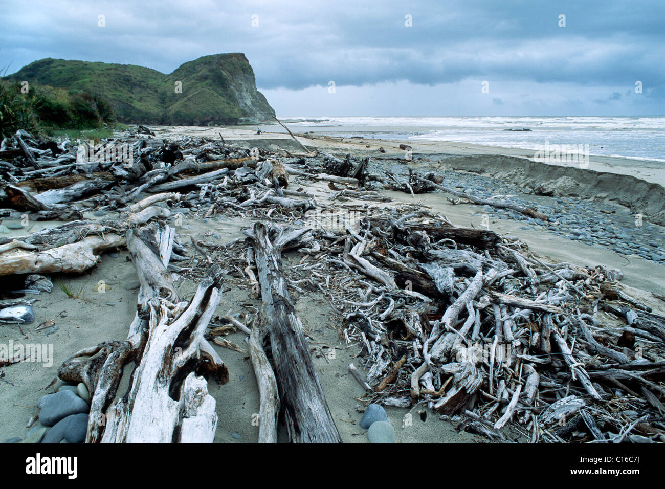 Bois flotté sur la plage, île du Sud, Nouvelle-Zélande Banque D'Images