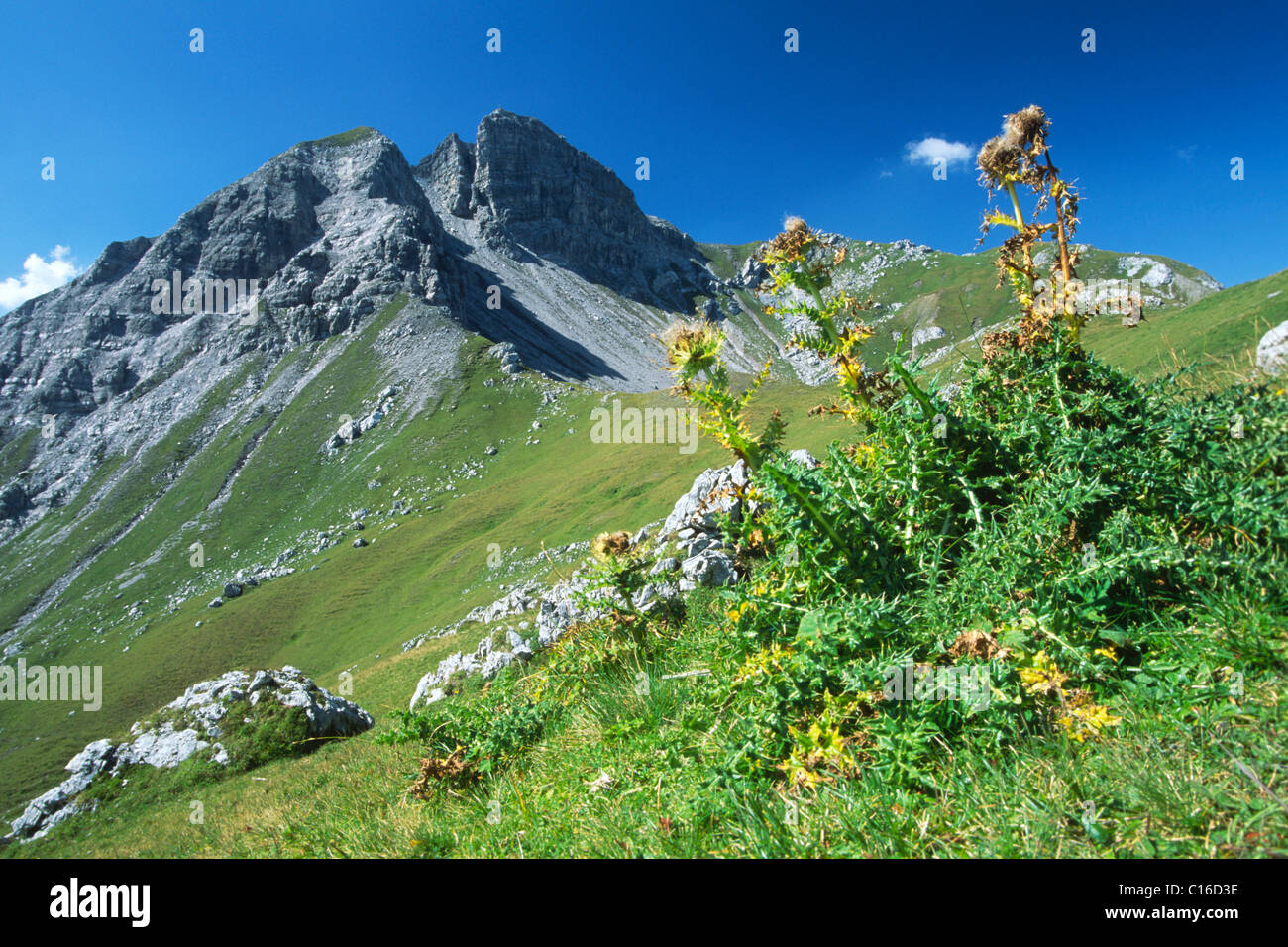Mont Rappenspitze, gamme Karwendel au Nord, Tyrol, Autriche, Europe Banque D'Images