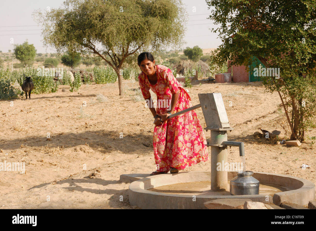 Femme indienne obtenir de l'eau, sur la route menant à Jaisalmer, Rajasthan, Inde du Nord, l'Asie Banque D'Images