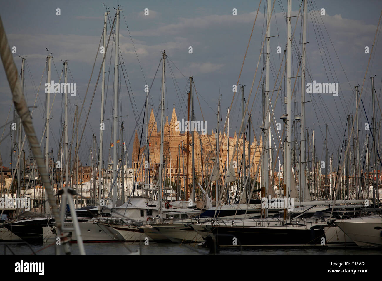 Vue inhabituelle de la Cathédrale de La Seu à Palma de Majorque, Espagne Banque D'Images