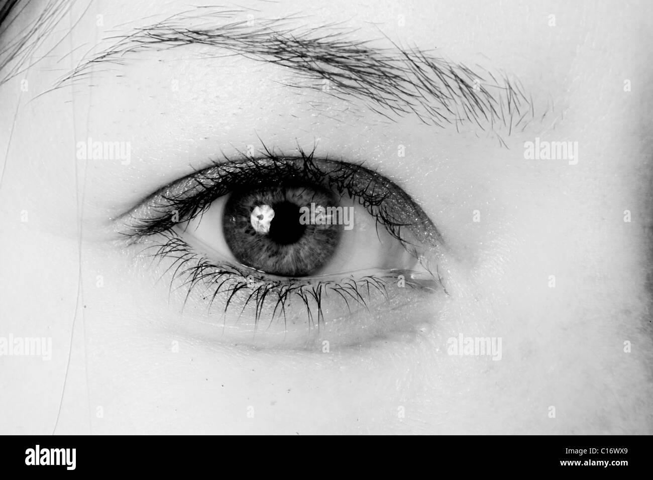 Photographie en noir et blanc d'une femme's eye Banque D'Images