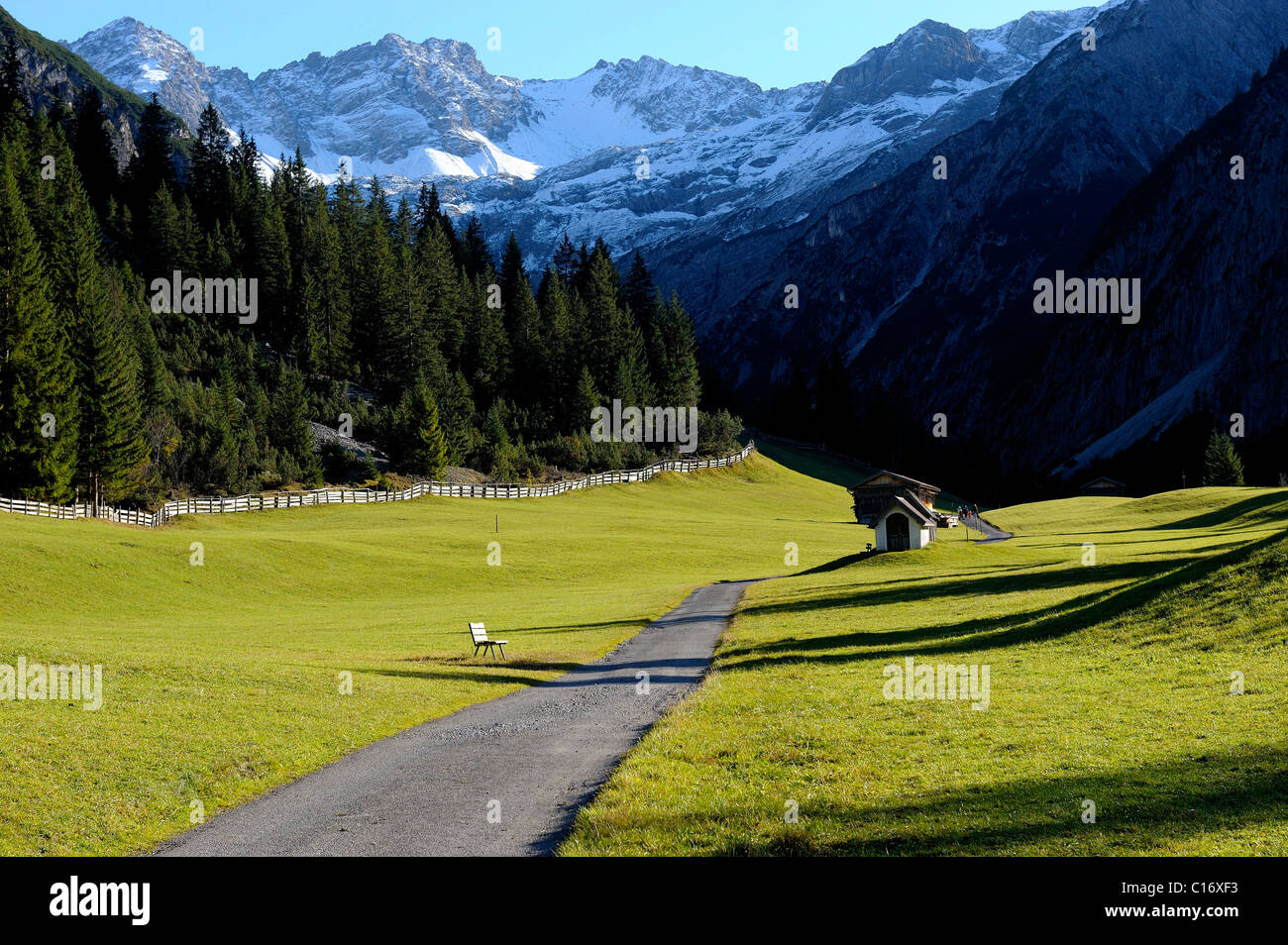 Prairie avec la montagne couverte de neige et le chemin des sommets alpins, Gramais, Lechtal, Reutte, Tyrol, Autriche, Europe Banque D'Images