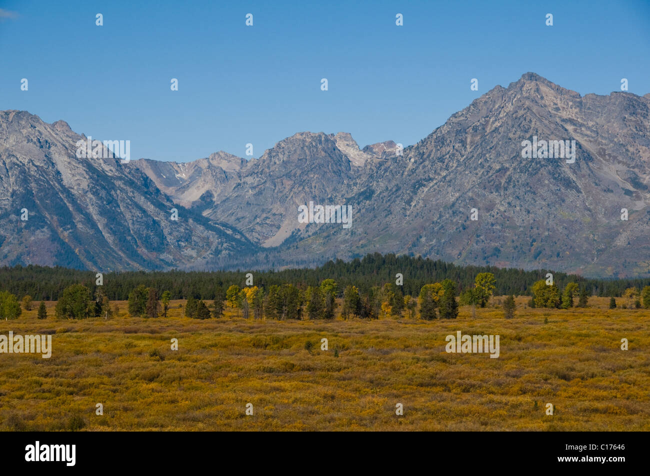 Point de vue de Jackson Lake Lodge,la couleur de l'automne,Danemark,Moran, Grand Teton,lacs glaciaires,Vistas, Grand Teton National Park, Wyoming, USA Banque D'Images