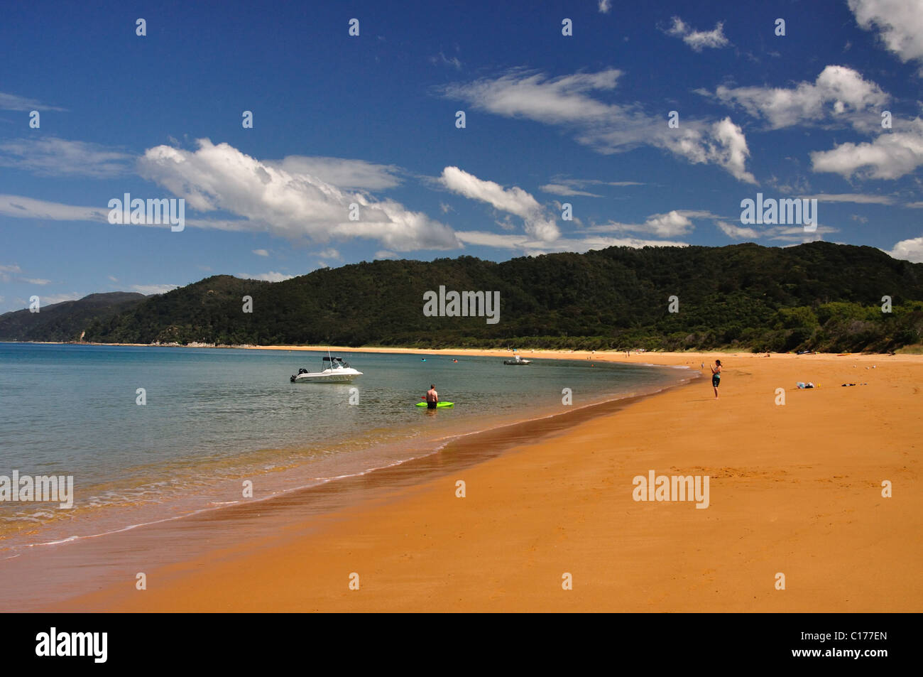 Totaranui Beach, parc national d'Abel Tasman, région de Nelson, île du Sud, Nouvelle-Zélande Banque D'Images