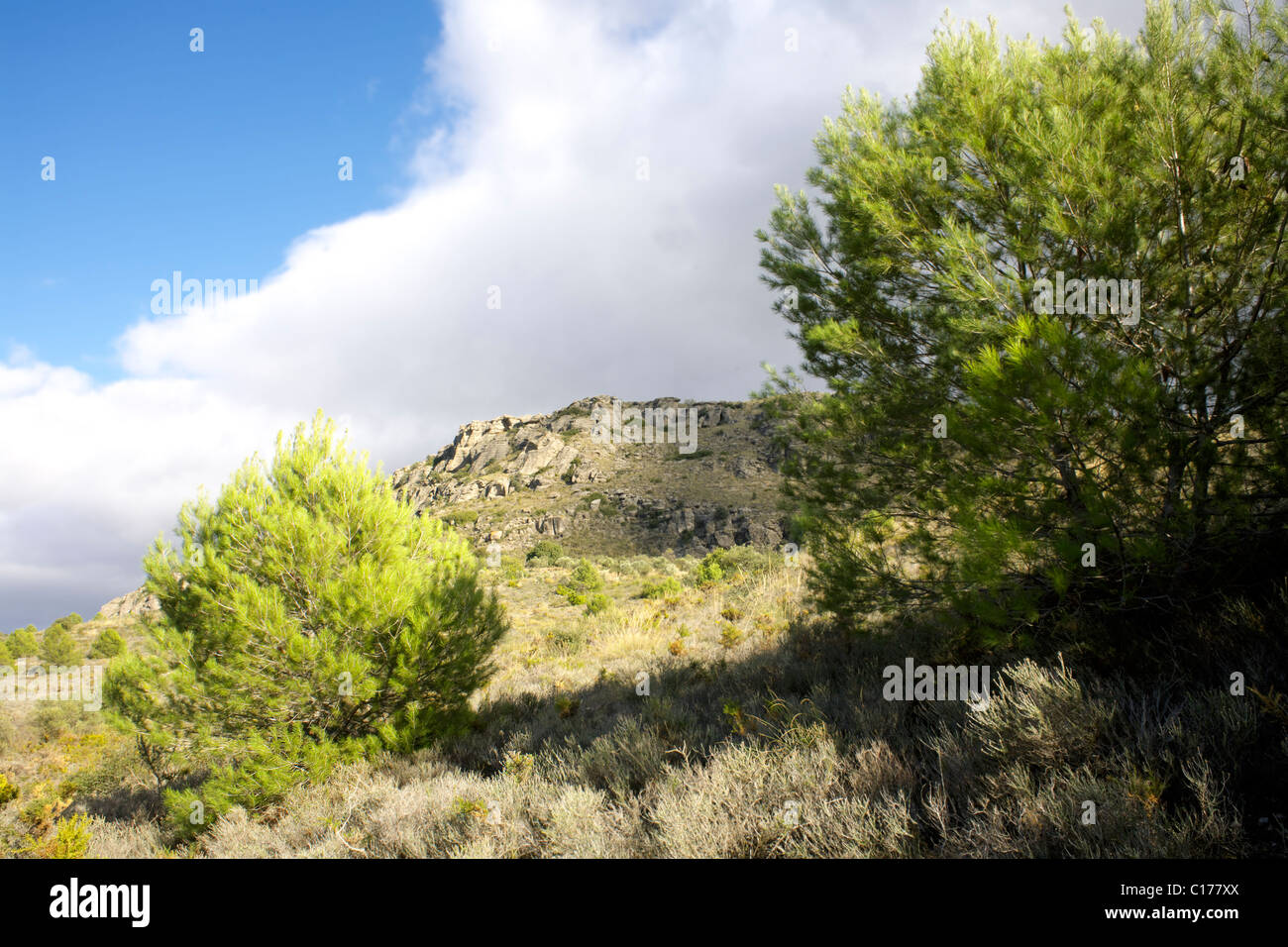 Vue sur la campagne, la Sierra de las Nieves, accueilli, le ROEJ, à l'automne, Andalousie, Espagne, Europe, la Sierra de las Nieves, accueilli, le ROEJ, Banque D'Images