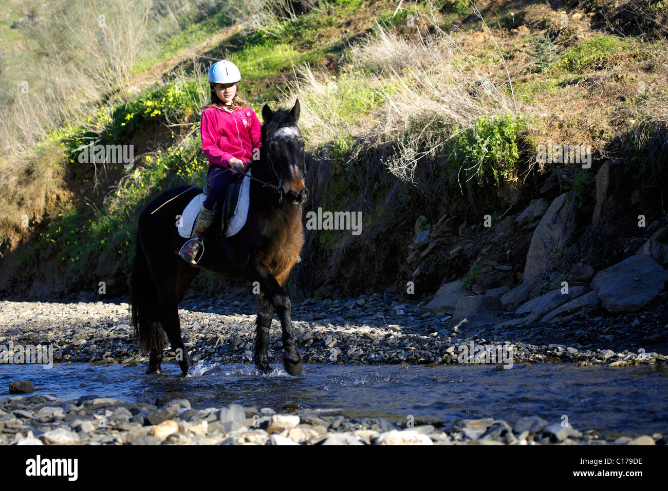 Les jeunes Anglais teenage girl riding son poney dans un ruisseau, rivière, adolescence, 13, 14, 15, l'année, dernières années, vieux, personne, femme, poney, Banque D'Images