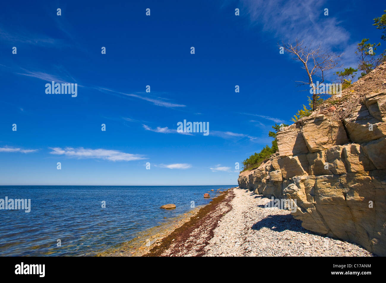 Panga Panga, falaises, l'île de Saaremaa, la mer Baltique, l'Estonie, pays Baltes, Europe du nord-est Banque D'Images