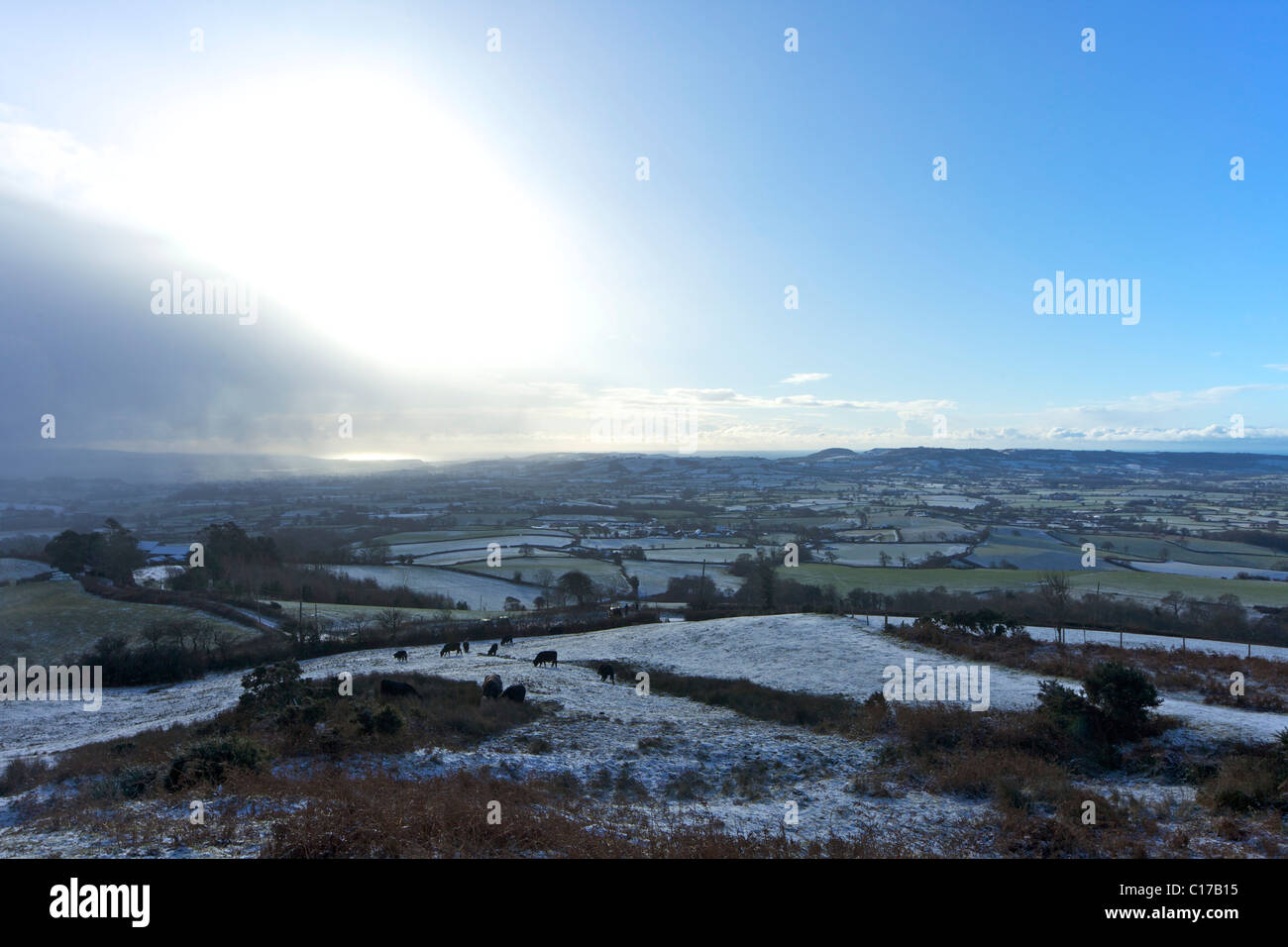 Vue de Pilsden Pen en hiver, la Côte Jurassique, site du patrimoine mondial, Dorset, England, England, UK, Royaume-Uni, GB, GR Banque D'Images