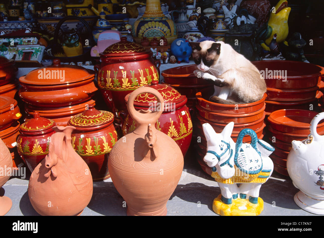 Chat assis dans un bol en céramique et le nettoyage lui-même, Guadix, Andalousie, Espagne, Europe Banque D'Images