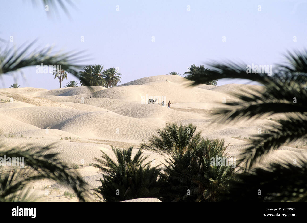 la-tunisie-le-sud-de-la-tunisie-chott-el-jerid-grand-erg-photo-stock