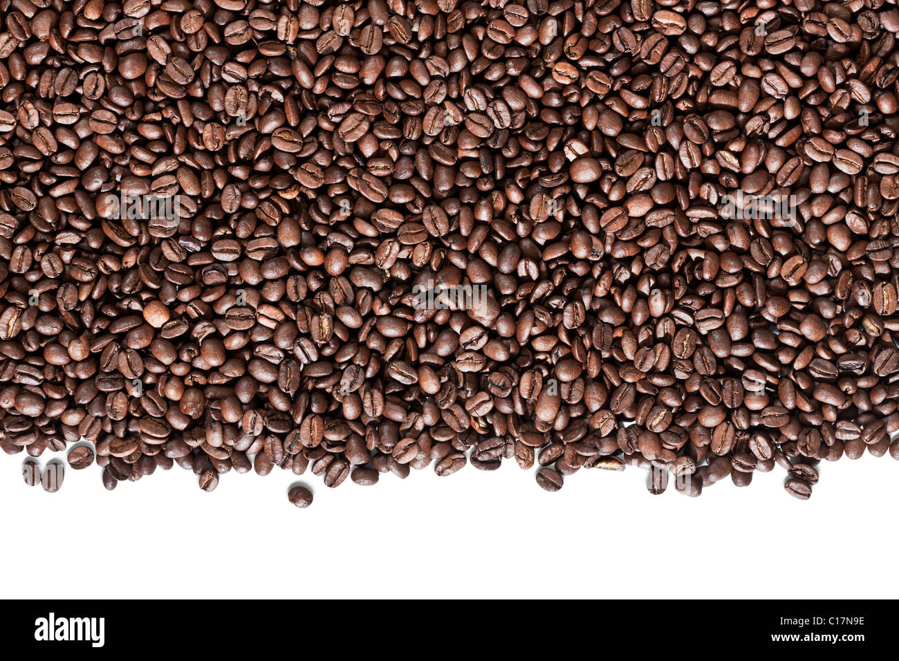 Les grains de café torréfié frais prêt pour le moulin isolé sur fond blanc Banque D'Images