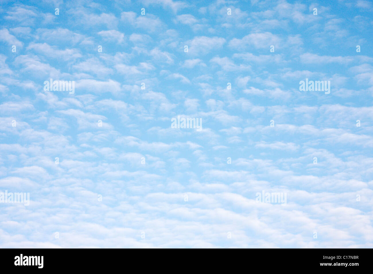 Ciel bleu avec des nuages moelleux Banque D'Images