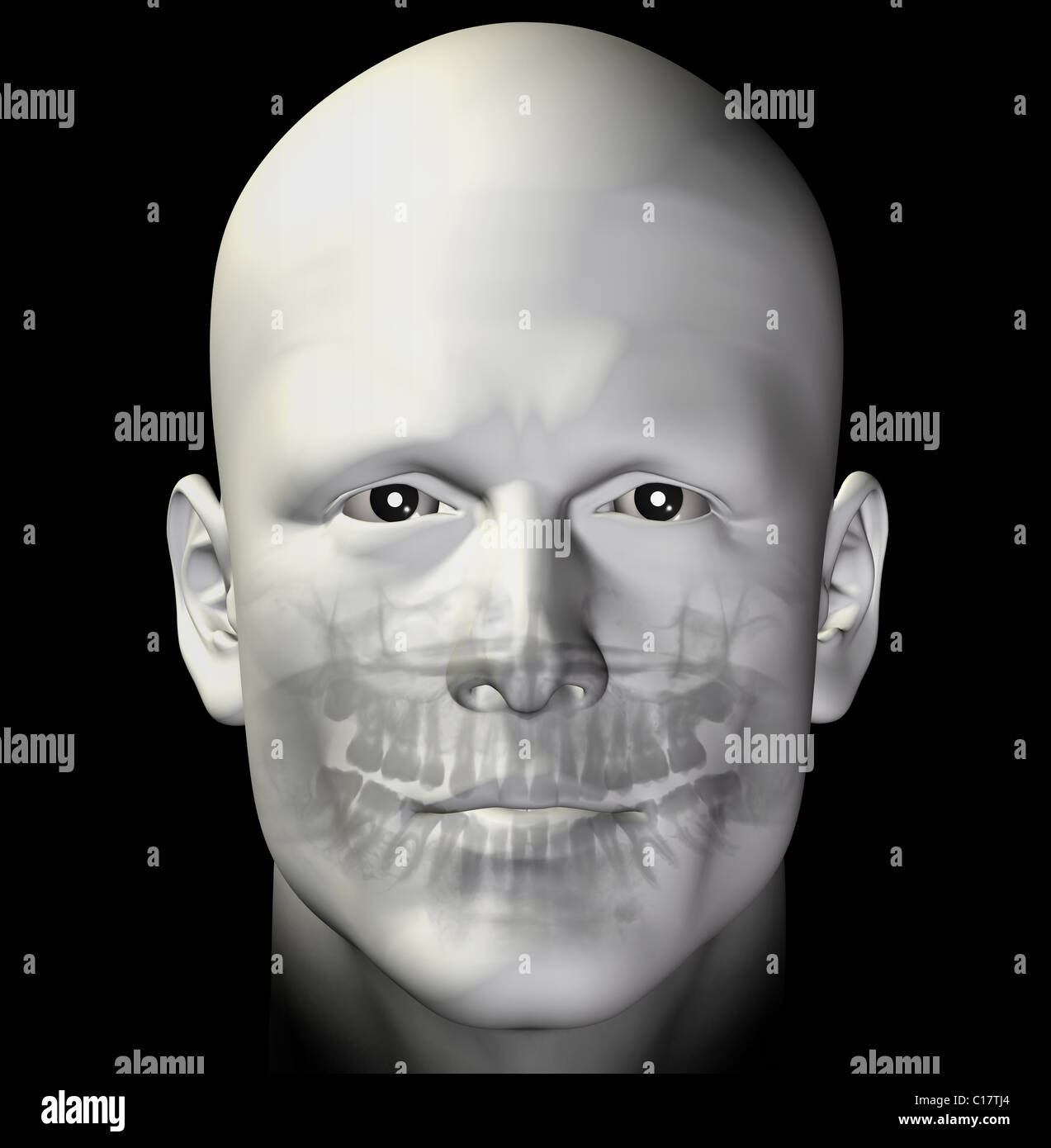 L'homme analyse dentaire adultes x-ray. 3d illustration. Banque D'Images