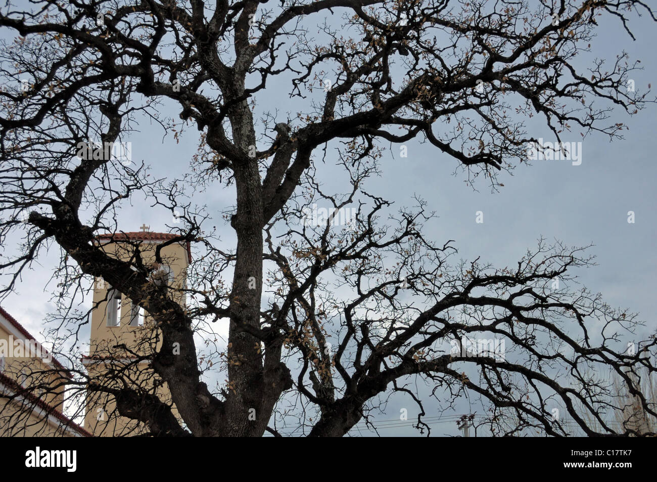En vertu de l'église moody ciel obscurci par des branches d'arbre de chêne silhouette. Banque D'Images