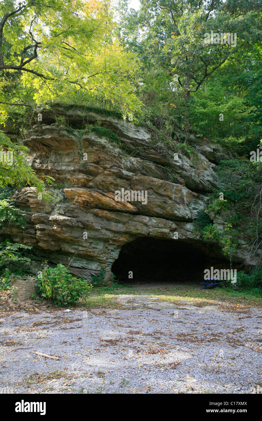 Humeur d'automne dans une grotte de grès, Shawnee National Forest, Illinois, États-Unis Banque D'Images